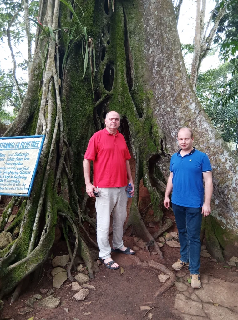Profesorowie w kumasi zdjecie pod drzewem